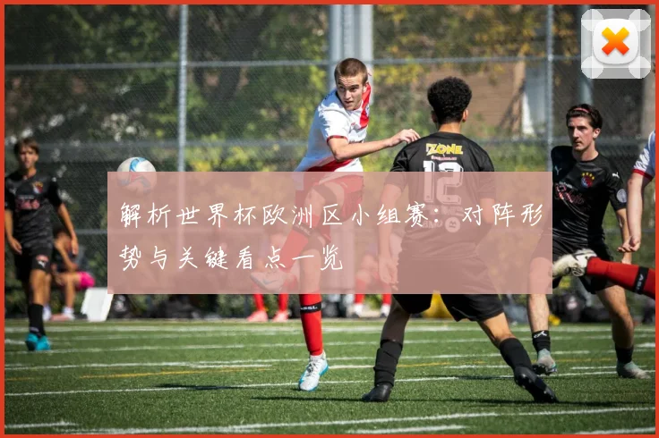 解析世界杯欧洲区小组赛：对阵形势与关键看点一览