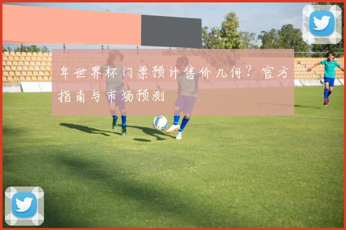 年世界杯门票预计售价几何？官方指南与市场预测