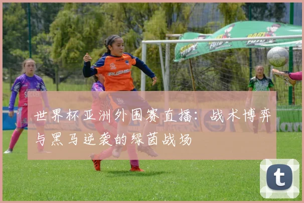 世界杯亚洲外围赛直播:战术博弈与黑马逆袭的绿茵战场