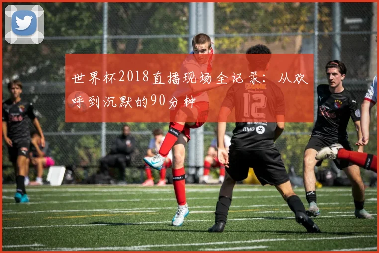 世界杯2018直播现场全记录：从欢呼到沉默的90分钟