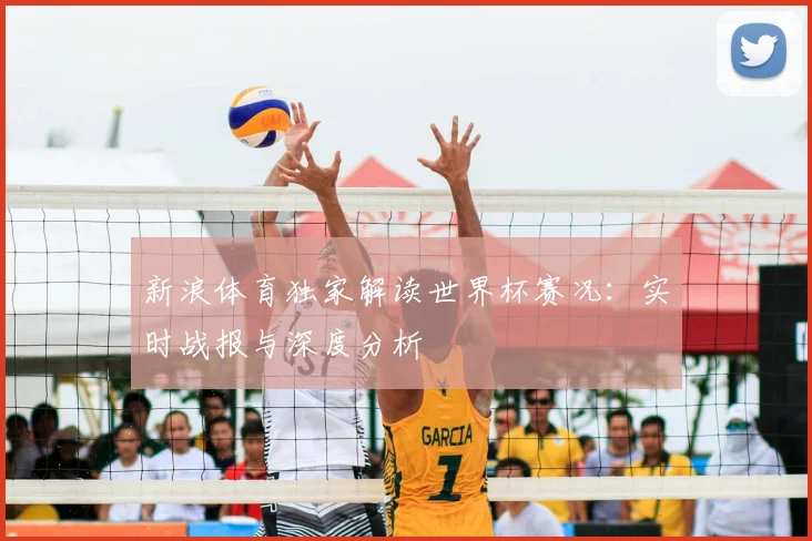 新浪体育独家解读世界杯赛况：实时战报与深度分析