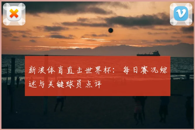新浪体育直击世界杯：每日赛况综述与关键球员点评