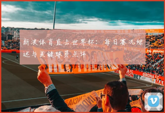 新浪体育直击世界杯：每日赛况综述与关键球员点评